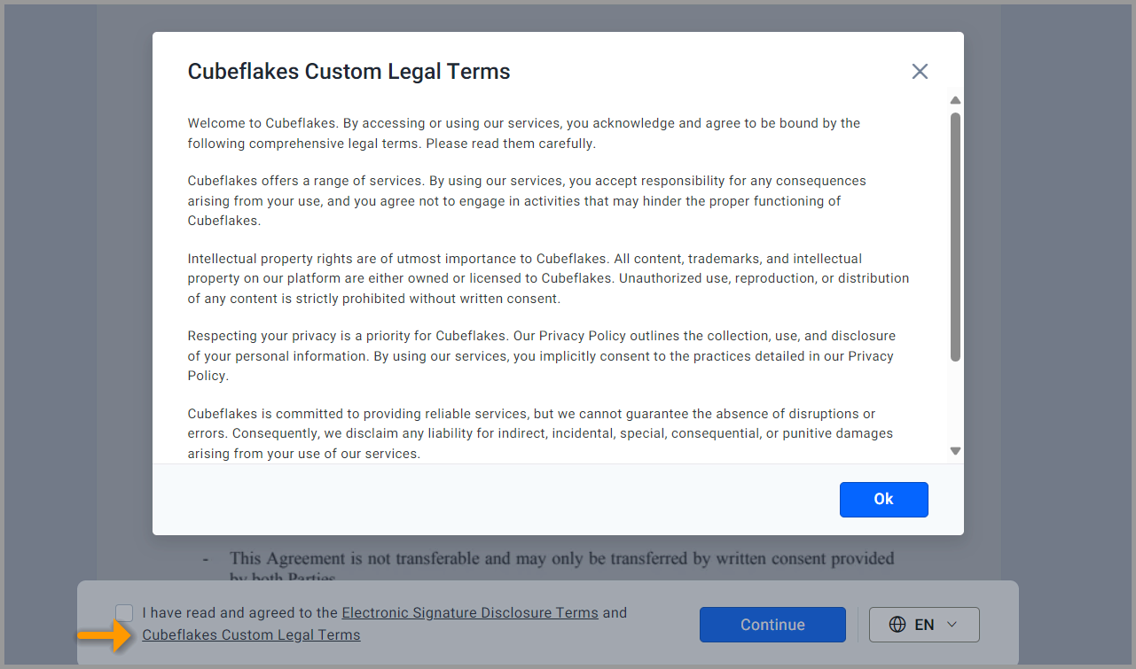 Custom legal terms shown in signer's side